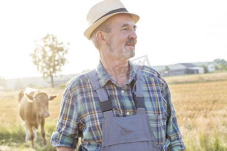 怪物里尔摄影照片_体贴的老农民在农场的田野里与奶牛站在一起