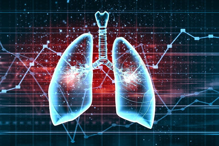 人类肺部的示意图。在彩色背景上具有不同元素的人肺的示意图。拼贴画。