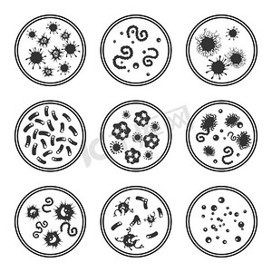 培养皿中的噬菌体病毒。病原体病毒和免疫细菌在皮氏培养皿分离白色，载体插图
