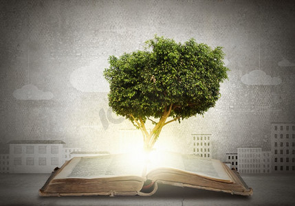 从书中长出绿树的概念形象。阅读与自我教育