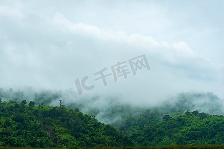 泰国热带雨林景观