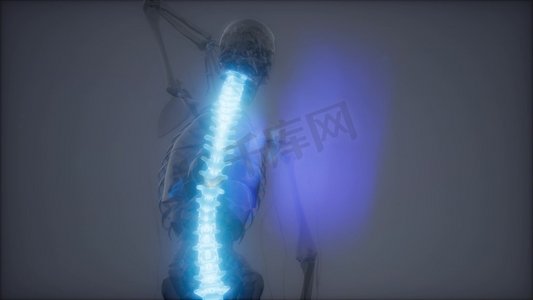 骨痛摄影照片_脊椎背痛。人体脊椎骨骼的科学解剖扫描发光。背部骨痛