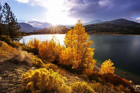 内华达山脉的美景。秋叶景观。美国加利福尼亚州。