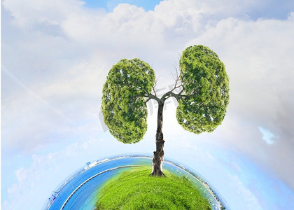 由于空气污染。绿树形似人肺的概念形象