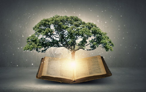 从书中长出绿树的概念形象。阅读与自我教育
