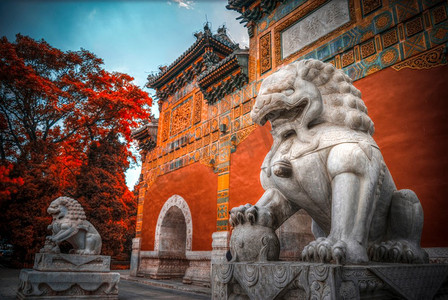 北海摄影照片_北海公园是北京紫禁城西北面的皇家园林。中国。北海公园