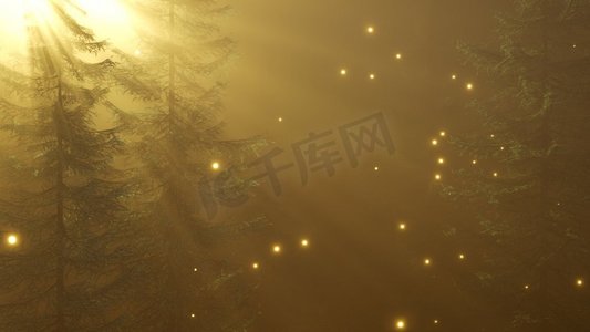 暮光森林摄影照片_在夜晚闪烁的神奇森林。魔法森林与火花