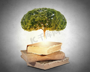 概念图像与绿树从书中生长。阅读与自我教育