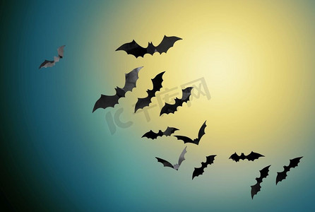 万圣节和可怕的概念—黑色蝙蝠飞行在月光在夜空背景蝙蝠飞行在月光在夜空背景
