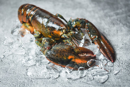 新鲜龙虾贝类在海鲜餐厅熟食/生龙虾在一个黑色石头桌面视图，选择性焦点