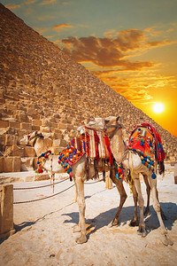 法老摄影照片_吉萨的法老金字塔。埃及开罗