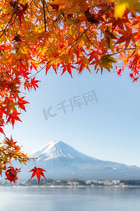 山富士在秋季在河口湖或河口湖在富士河口湖日本（选择焦点在枫叶）