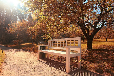 公园长凳秋季城市景观休闲