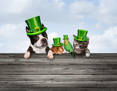 秋季天猫海报摄影照片_圣帕特里克节或快乐圣帕特里克节宠物庆祝标志作为三月传统的绿色三叶草装饰宠物与3D插图元素。