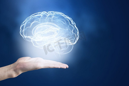 大脑发展摄影照片_心理健康概念。近摄人类手握大脑