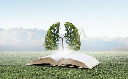 绿色阅读摄影照片_从书中长出绿树的概念形象。阅读与自我教育