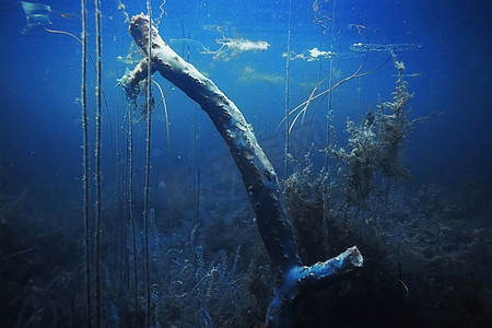 海底有藻类和珊瑚在混乱的水域