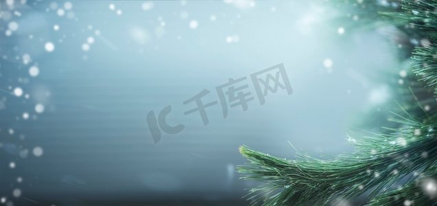 美丽的冬季旗帜以松枝和雪为背景。寒假和圣诞节的概念