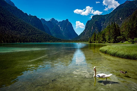 意大利白云岩中的多比亚科湖。多比亚科湖在白云岩，美丽的自然意大利阿尔卑斯山自然景观。