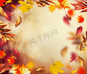 美丽的秋天背景与飞行落下五颜六色的叶子和bokeh，框架