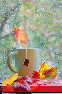 秋日雨窗，有热茶和书籍