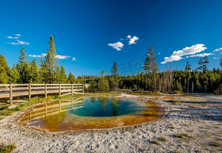美国怀俄明州黄石国家公园的温泉牵牛花池