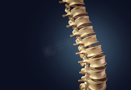 Skeleton人脊柱和脊柱或椎间盘在黑暗背景作为作为一个医学概念作为一个3D例证