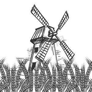矢量麦穗摄影照片_有磨坊和小麦的农场景观。农场景观，白色背景上有手工绘制的磨坊和麦穗。矢量插图