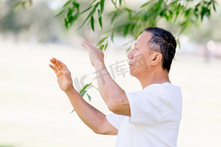 练太极拳的老头。夏天，一位老人在公园里练太极