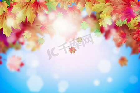 秋天的落叶背景图片与秋天的叶子。文本位置