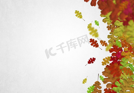 秋天的落叶背景图片与秋天的叶子。文本位置