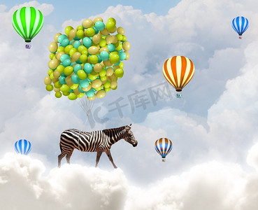 斑马气球摄影照片_会飞的斑马。斑马乘着一串彩色气球在天空中飞翔的奇幻形象