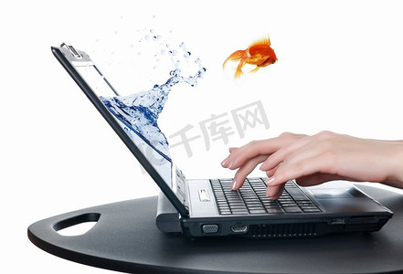 蓝色水花摄影照片_金鱼和笔记本电脑的图片