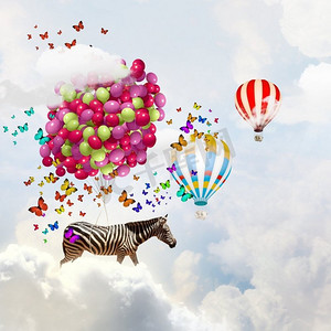 斑马气球摄影照片_会飞的斑马。浮空器上斑马在天空中飞行的奇幻形象