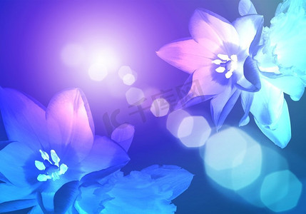 带光斑的花卉彩色背景插图