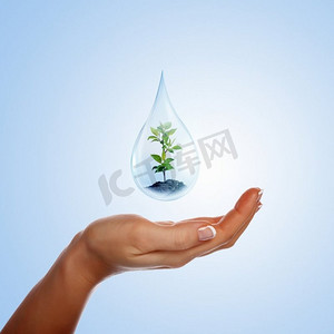 一大滴水，里面有芽，用手支撑着。环境保护的象征。