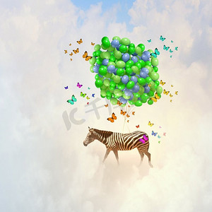 会飞的斑马。斑马乘着一串彩色气球在天空中飞翔的奇幻形象