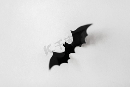 万圣节，装饰和可怕的概念-白色背景上的黑蝙蝠。白底黑蝙蝠的万圣节装饰