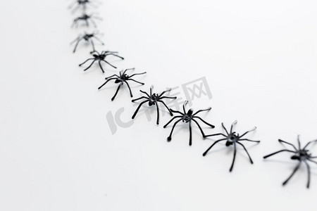 万圣节和装饰概念-黑色玩具蜘蛛链在白色背景上。白色背景上的黑色玩具蜘蛛
