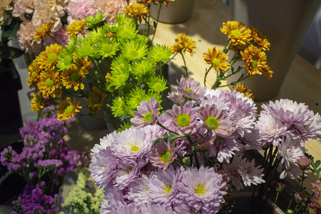 捧花插花鲜艳美丽开花立春送花节日菊花雏菊彩色春天