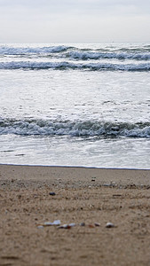 贝壳摄影照片_海滩贝壳赶海海浪