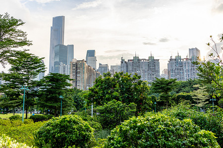 广州建筑花园公园绿化城市7