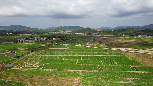 农产品摄影照片_航拍农产品种植基地