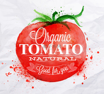 植物营养背景图片_番茄水彩海报