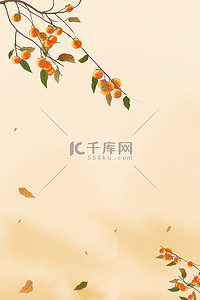 秋分背景背景图片_秋分柿子树浅色简约节气海报背景