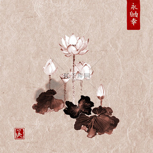 手绘背景图片_莲花手绘