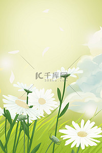 小雏菊白色花朵绿色手绘花朵
