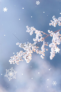 蓝色节气海报背景图片_大雪海报雪花节气