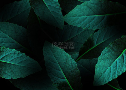 森林背景图片_植物树叶墨绿色棕榈叶背景