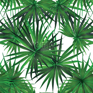 summer背景图片_Palm Monstera Seamless Pattern. White Green Tropical Summer Background. Beach Jungle Leaves for Swimwear Design. Lei Rapport. Retro Hawaiian Print. Tropic Textile Texture.  Botanic tiling.